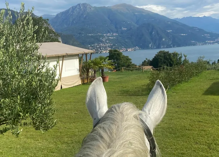 Luksusowy namiot Luxury